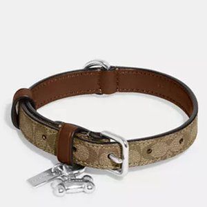 NWT $89 COACH Small Signature Dog Collar